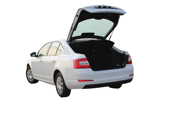 Jaka Skoda do miasta? Jaka Skoda do miasta?