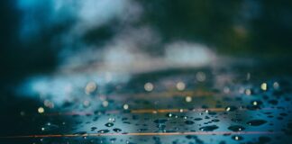 Jak sprawdzić odstraszacz ultradźwiękowy?