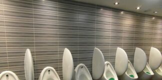 Czy ludzki mocz odstrasza kuny?