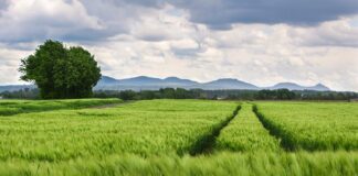 Co zrobić żeby nie wypychały się kolana w spodniach?