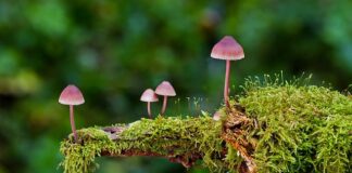 Czy na myjni można używać gąbki?