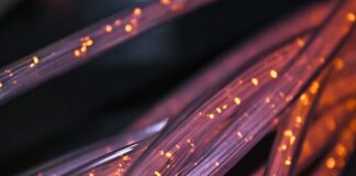 Dlaczego kuny przegryzają kable?