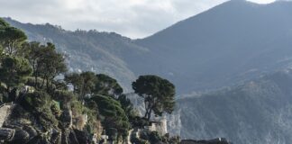 Ile kosztuje 500g czynnika do klimatyzacji?