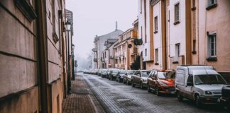 Co do auta na gryzonie?