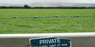 Czy pracodawca może zakażać malowania się?