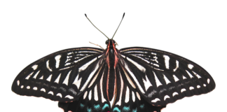 Co daje usunięcie odmy?