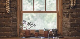 Czy czosnek odstrasza kuny?