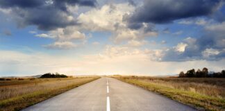 Jak działa napęd 4x4 w Skodzie Octavii?