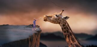 Ile kosztuje żyrafa do szlifowania?