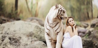 Ile jest grup środków ochrony indywidualnej?