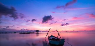 Co na długą podróż?