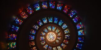 Czym się różnią mopy Vileda?