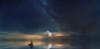 Co ile trzeba wymieniać wodę królikowi?