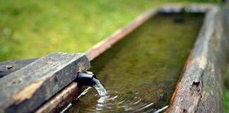 W jakim miejscu umieścić poidło dla ptaków?