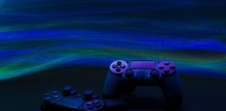 Jak nie należy bawić się z psem?