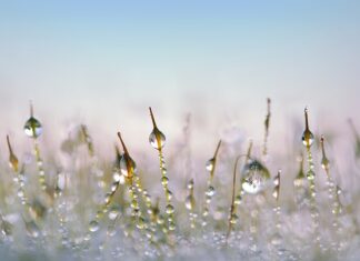 Co to jest Defrost w klimatyzacji? Co to jest Defrost w klimatyzacji?