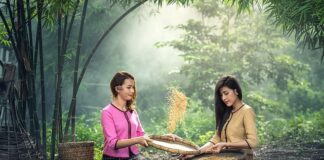 Czy można siać w deszczu?