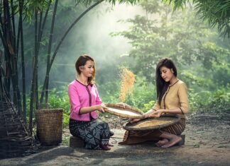 Czy można siać w deszczu? Czy można siać w deszczu?