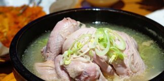 Czy pies może jeść rosół?