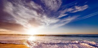 Co daje picie herbaty z miodem?