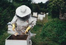 Co pszczelarze dodają do miodu?