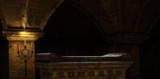 Co ile zmieniać wodę psu?