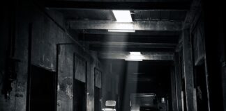 Czego nie lubi chora trzustka?