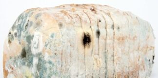 Jak często dezynfekować klamki?