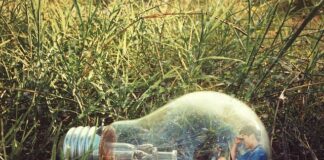 Jak kot pokazuje że go boli?