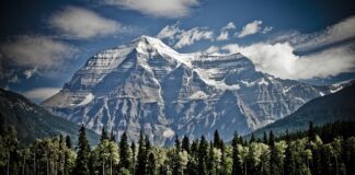 Jak zamontować Sepie?