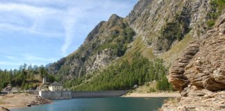 Co ile powinno się wychodzić z psem?