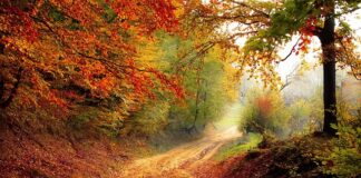 O jakiej porze najlepiej pić mleko?