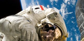 Czy budzić psa na spacer?