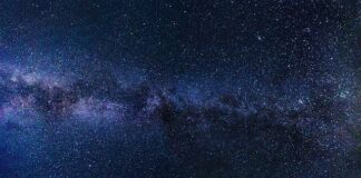 Dlaczego warto spożywać mleczne napoje fermentowane?