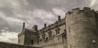 Jak mieszanie karmy suchej z mokrą?