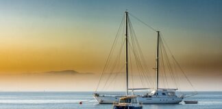 Czy indyk je antybiotyk?