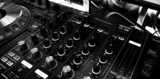 Czy można mieszać rasy królików?