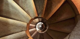 Co na dno klatki dla papug?