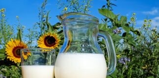 Czy mleko jest produktem mlecznym?