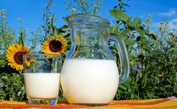 Czy mleko jest produktem mlecznym?