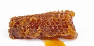 Jak długo można stosować propolis?