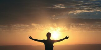 Jak kot okazuje wdzięczność?