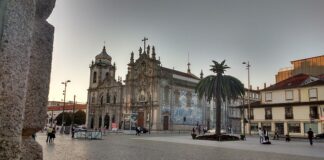 Czy karmę z puszki można mrozić?