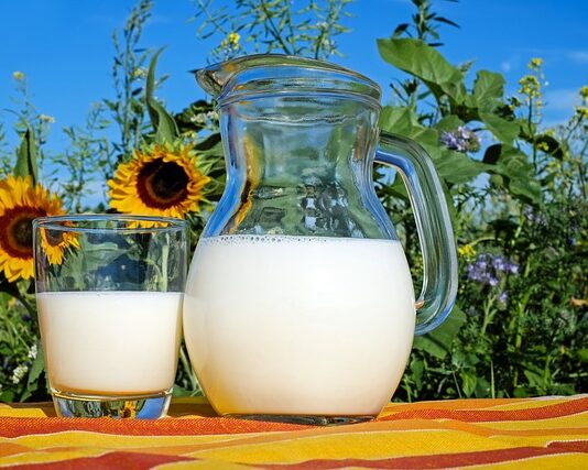 Jaką rolę w życiu człowieka odgrywa mleko i produkty mleczne?