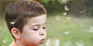 Czym się bawią 2-letni chłopcy