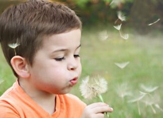 Czym się bawią 2-letni chłopcy? Czym się bawią 2-letni chłopcy