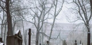 Jak czyścić nagrobek granitowy – praktyczny poradnik nagrobki w grodzisku mazowieckim